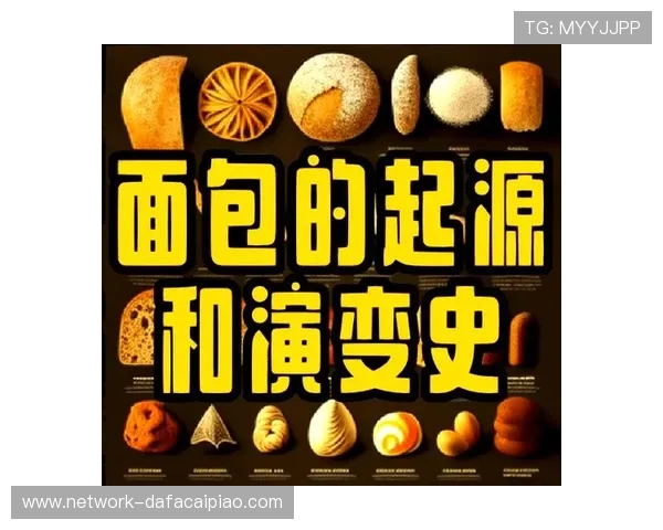 快3历史发展全景解析：从起源到现代的演变与影响
