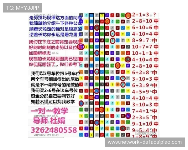 极速飞艇技巧解析与投注技巧全面攻略分享