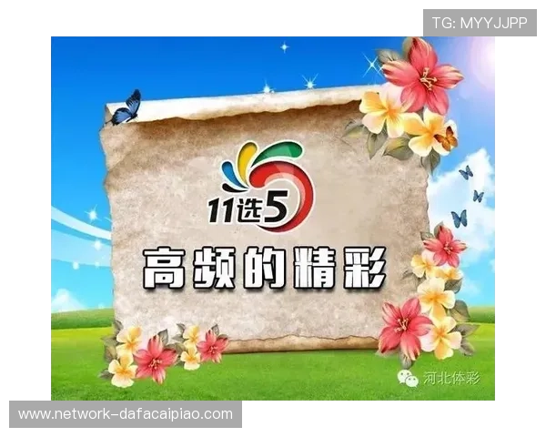 11选5选号技巧全解析助你掌握投注技巧与中奖策略