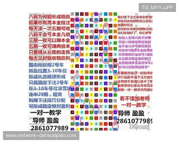 极速飞艇玩法技巧解析与最新开奖趋势全面指南