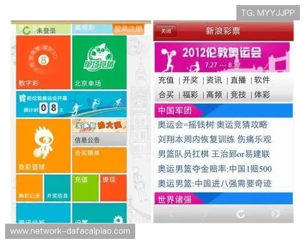 河内1分彩新浪彩票最新玩法解析与投注技巧全面指南